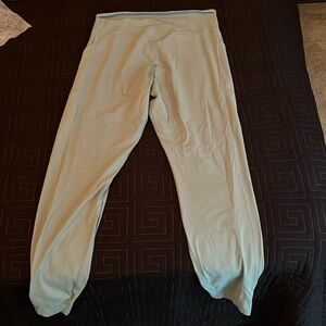 Whitney Simmons gym shark leggings